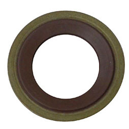 Dowty seals