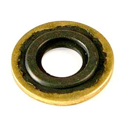 Dowty seals