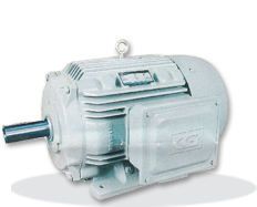 ND SERIES - Cast Iron Body