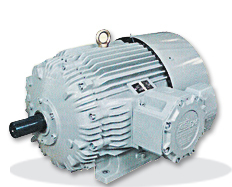 HAZARDOUS AREA MOTORS - Frame 80 to 315