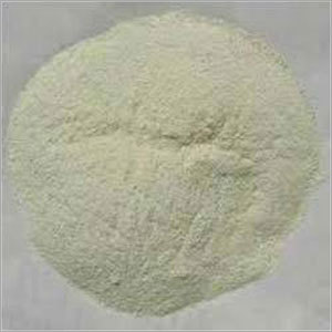 Coating Powder