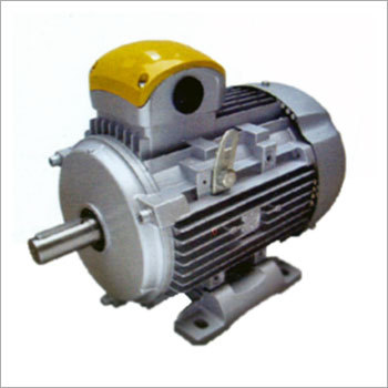 Crane Duty Motor