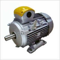 Crane Duty Motor