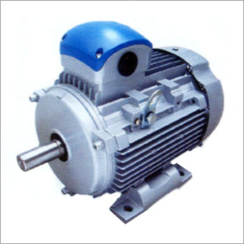 Squirrel Cage Motor