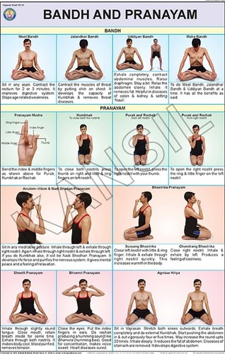 Bandhas & Pranayam  Chart