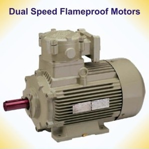 Dual Speed Flameproof Motors - Three Phase Motor Moderate Pressure | Explosion-Proof Anti-Corrosive Vibration Less Functionality Durable Design