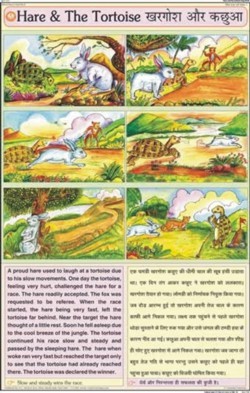 Hare & The Tortoise Chart