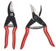PRUNER