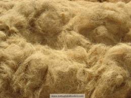raw coir