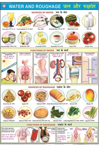 Water & Roughage Chart