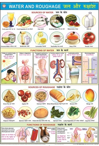 Water & Roughage Chart