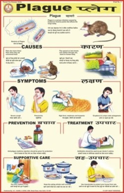 Plague Chart