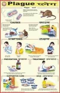Plague Chart