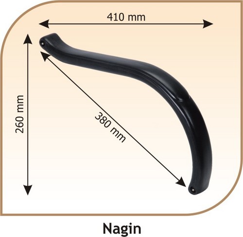 Nagin