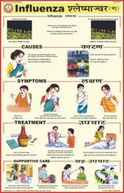 Influenza Chart