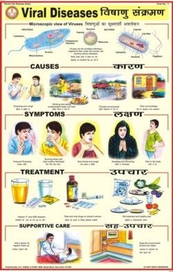 Natural Color Viral Diseases Chart