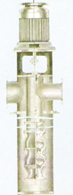 Vertical Pumps