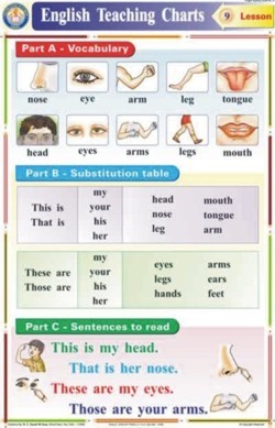 Body Parts Charts