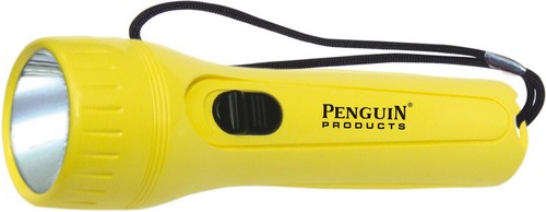 2D Plastic Torch 1Watt
