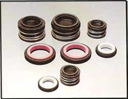 Mechanical Seals