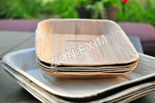 Natural Leaf Plates