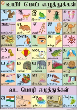 Tamil Alphabet Chart Manufacturer Supplier Exporter From New Delhi