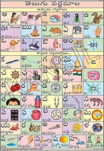 Telugu Alphabet Charts Manufacturer Supplier Exporter From