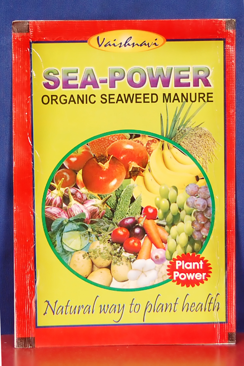 Seaweed Extract Powder Seaweed Extract Powder