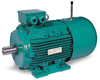 Three Phase Induction Motor Three Phase Induction Motor