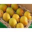 Ratnagiri Haapoos Mango