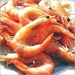 Sea Food - 10-20 cm Pink Shrimp, Frozen | Trawl Net Catch, Versatile Culinary Use, Rich Protein