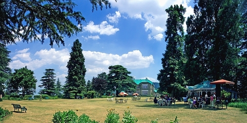 Shimla Tour Packages