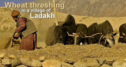 Ladakh Travel Packages