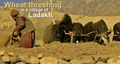 Ladakh Travel Packages