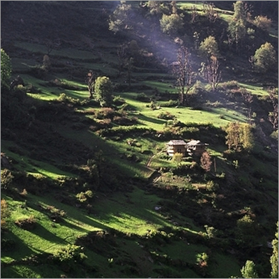 Manali Tour Pacakge