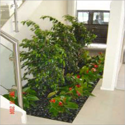 Inside Planting
