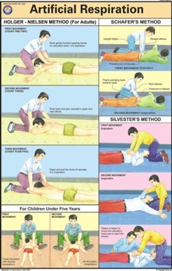 Artificial Respiration Chart