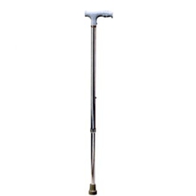 Walking Stick