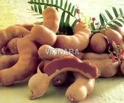 Tamarind Seed