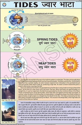 Tides Chart