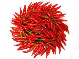Red Chilli