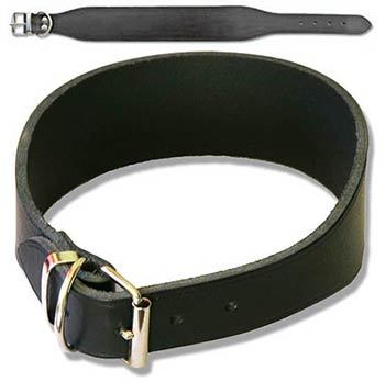 Economy Leather Dog Collar