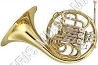 French Horn