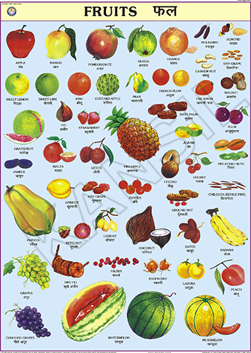 Fruits Chart