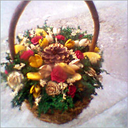 Hanging Basket