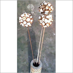 Sola Koli Ball Stick