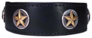 Fancy Leather Dog Collar