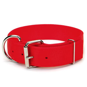 Fancy Dog Collars