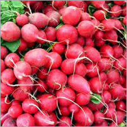 Red Urine Beetroot