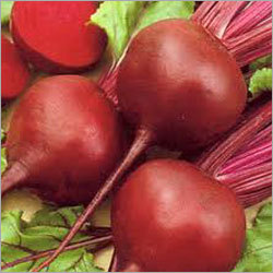 Beetroot